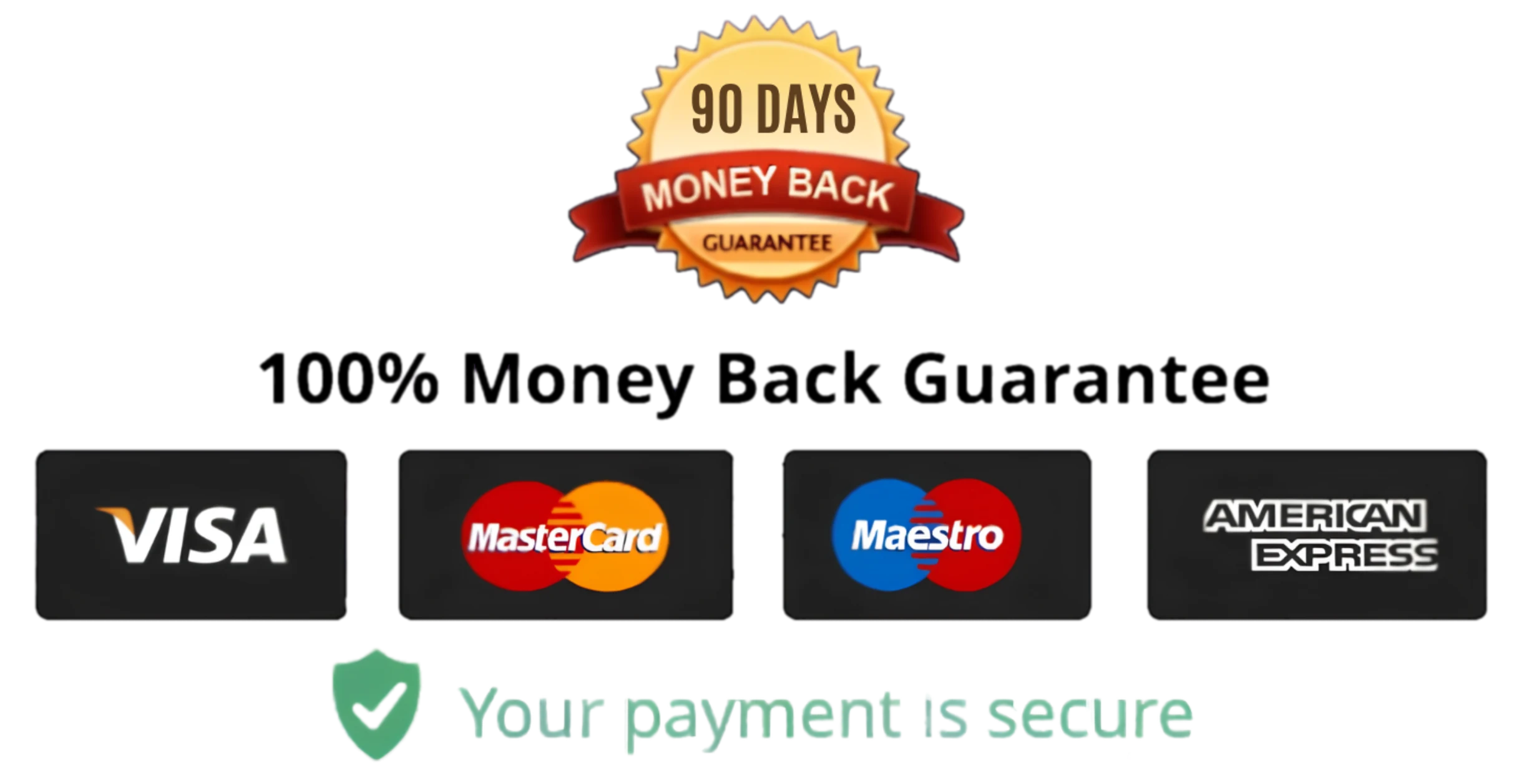 90-day money-back guarantee and payment security badges
