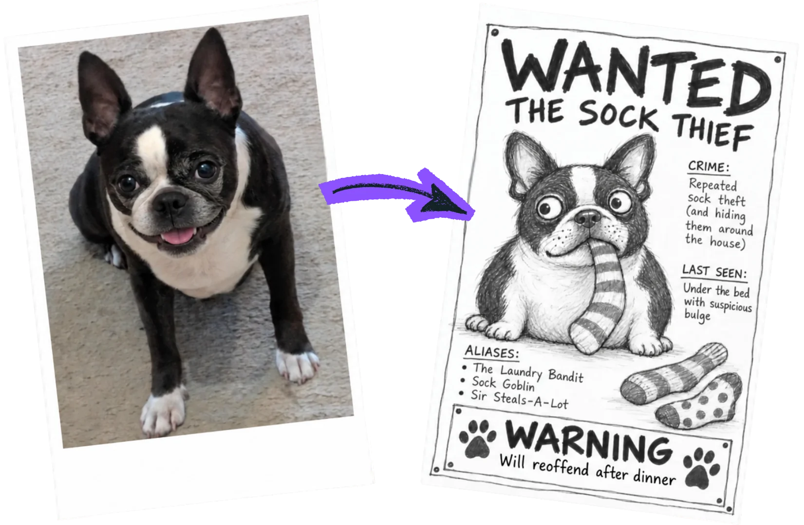 Happy dog photograph beside a hand-drawn WANTED poster for The Sock Thief