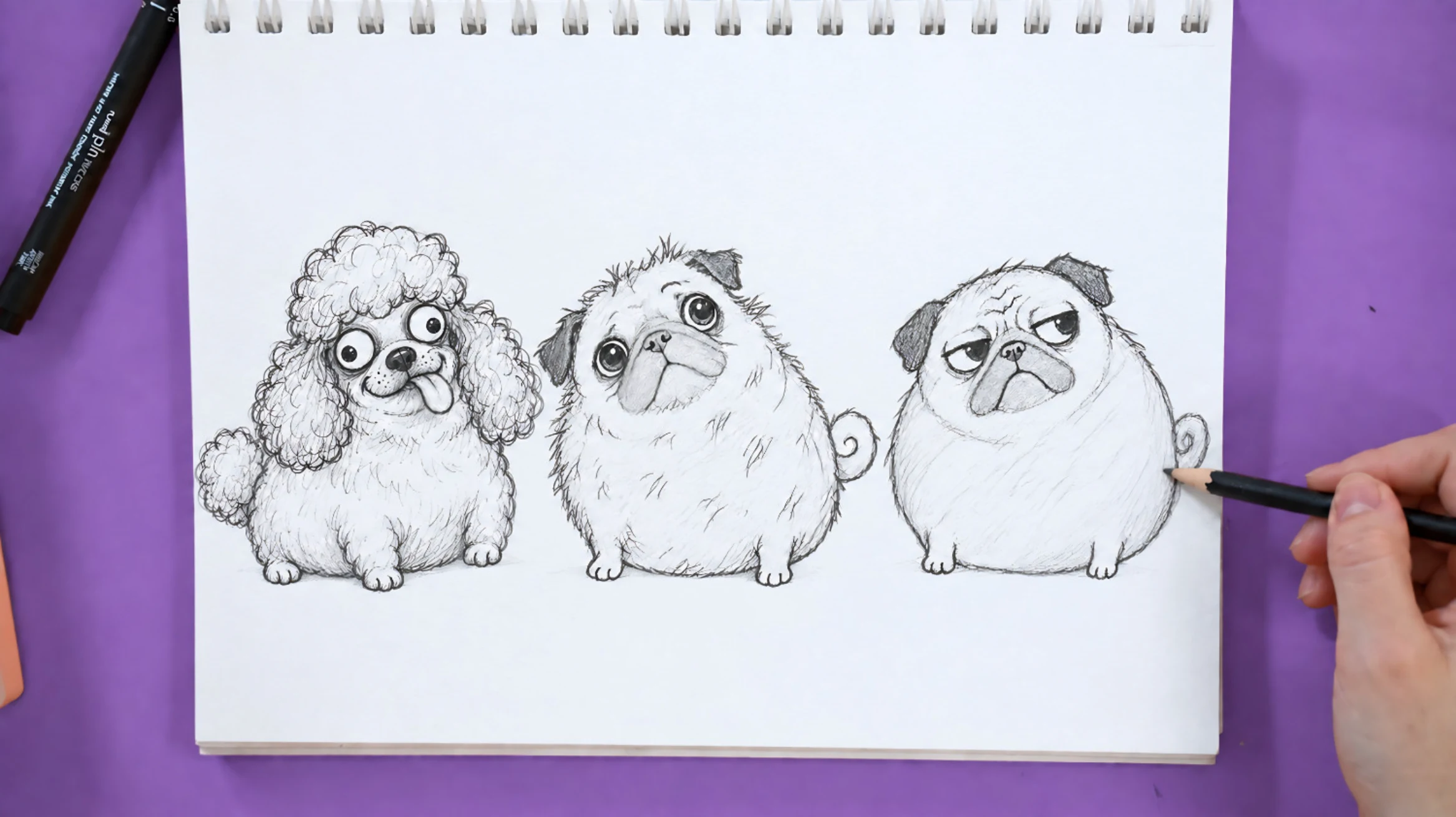 Three dog drawings showing curly fur, scruffy fur and a grumpy expression